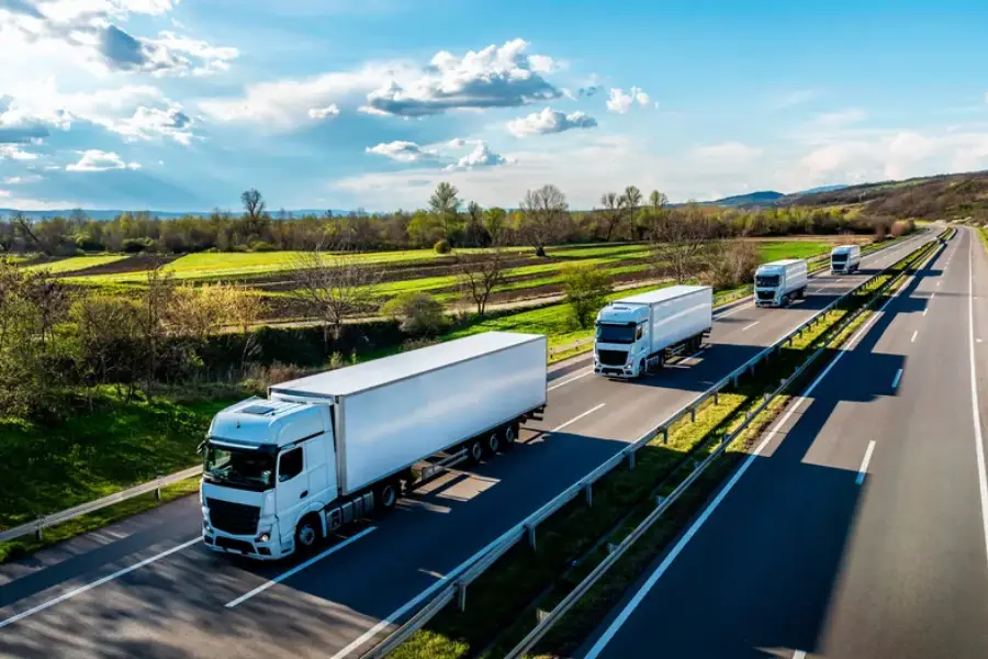 The Role Of Movers In Long Distance Relocation Success in Suwanee, GA The Role Of Movers In Long Distance Relocation Success in Suwanee, GA